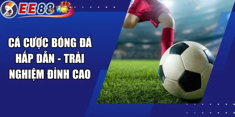 Cá Cược Bóng Đá